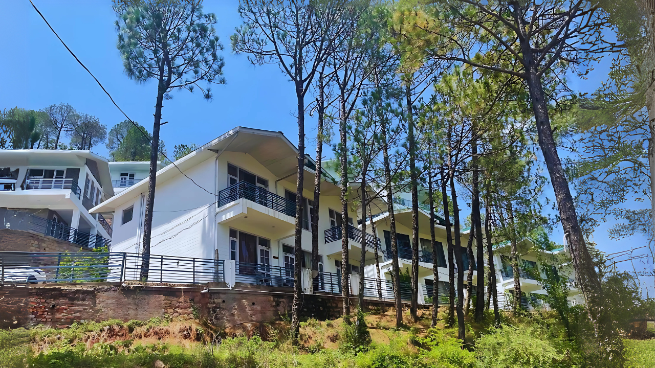 Green And White Modern Nagaland Travel Vlog YouTube Thumbnail